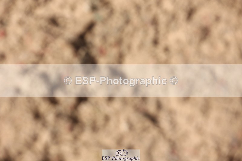 240629A-165537-08197 - Cls 13 Stepping Stones 128cm + 138cm