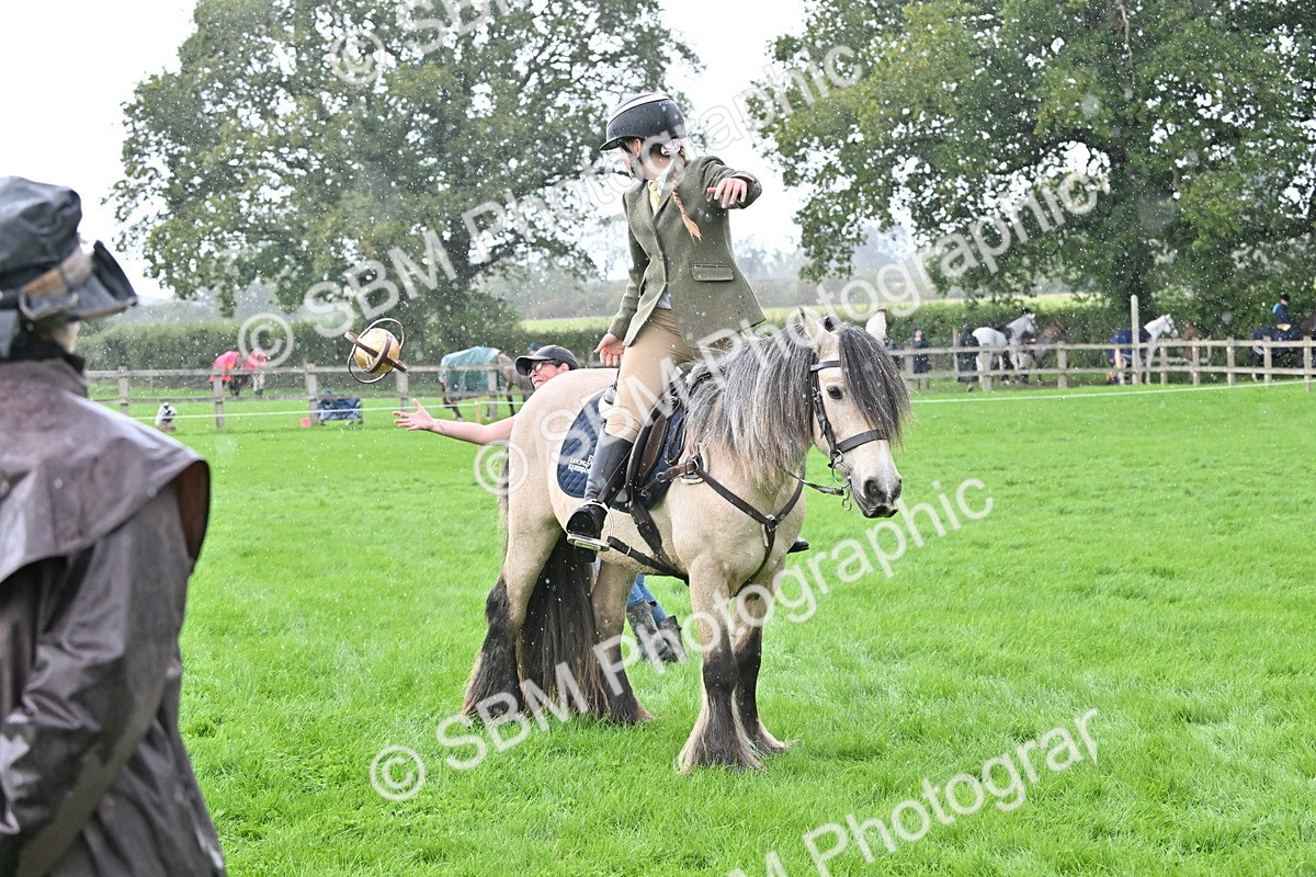 SBM_43013 - S12 - Family Horse & Pony