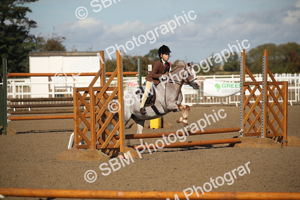 SBM_12708 - Class 504b - Junior Working Veteran - 40cm (20+)