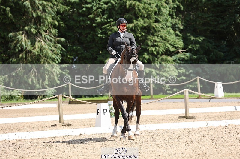 240721-143017-09550 - 226-Rosey_Bradburn-High_Spirits_II