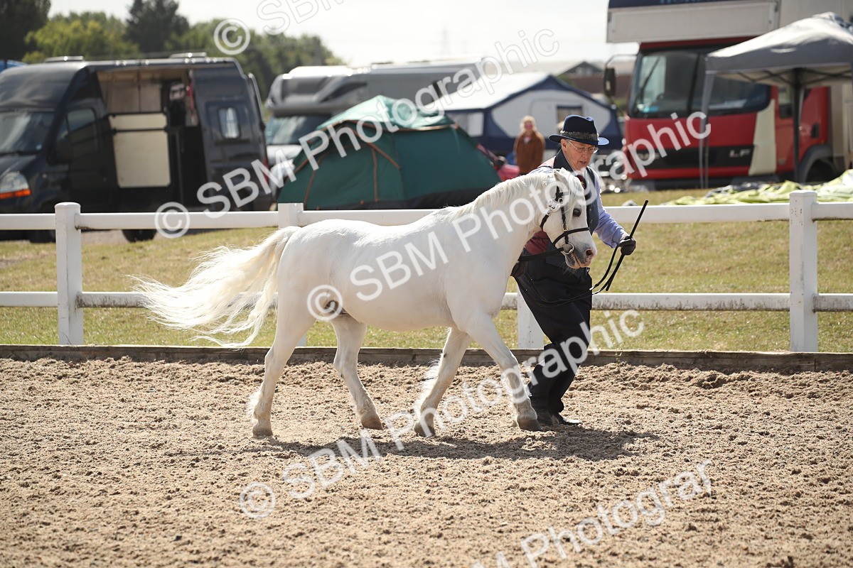 SBM_23514 - Class 605 - 2026 - Area - IH Veteran