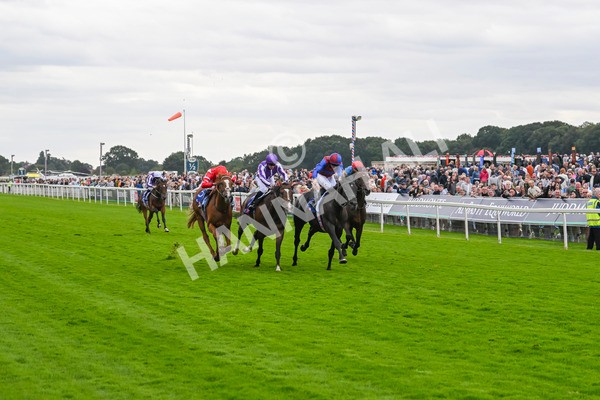 210824-Race 3-Los Angeles-4876 - Race 3 3.00pm Sky Bet Great Voltigeur Stakes