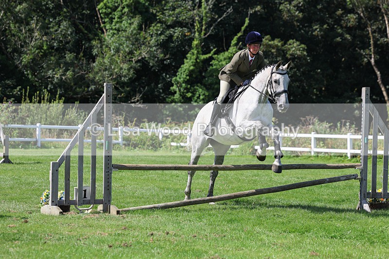 3E7A8570 - Class 5: Working Show Horse