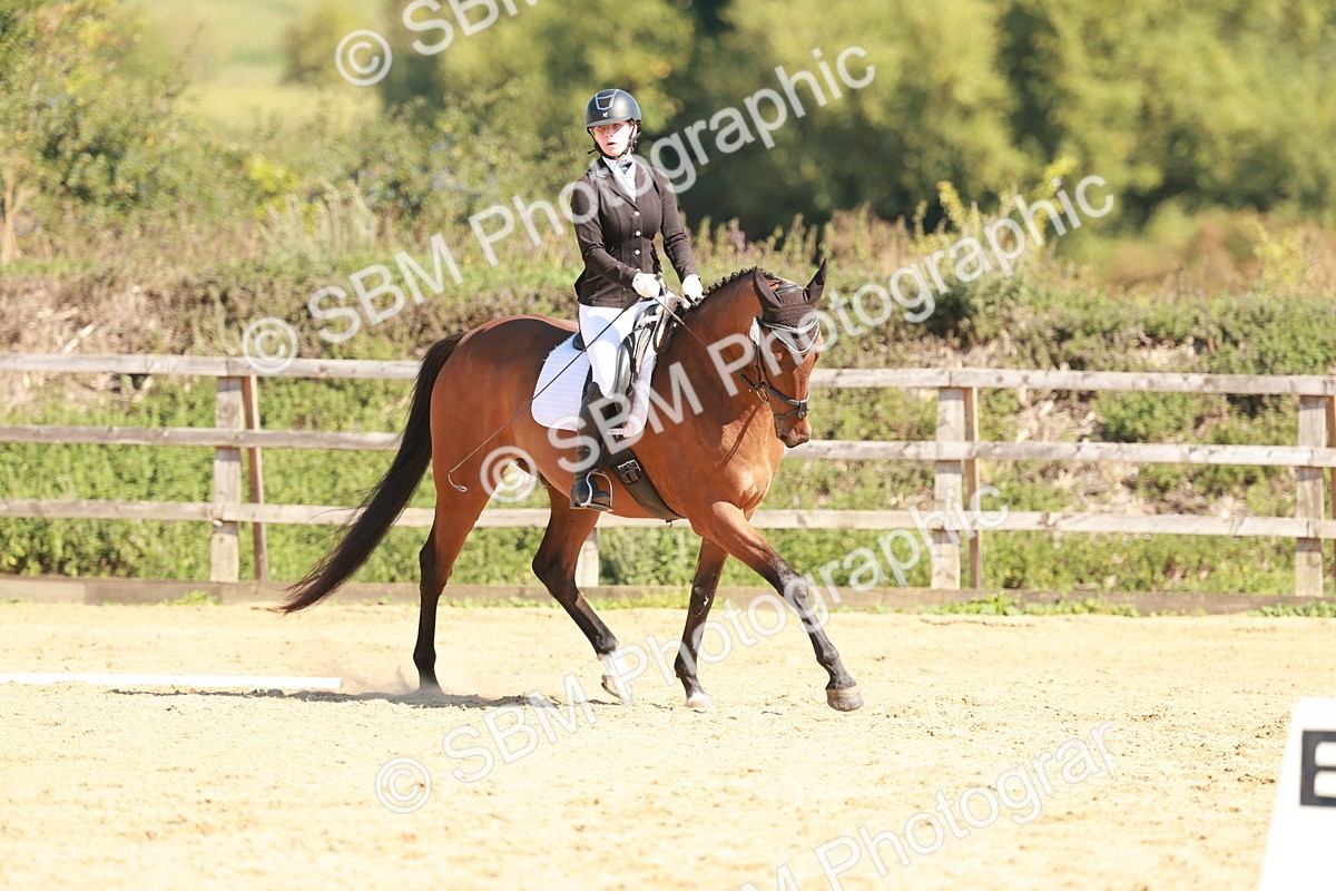 SBM_010817 - Class 7 - Novice 2