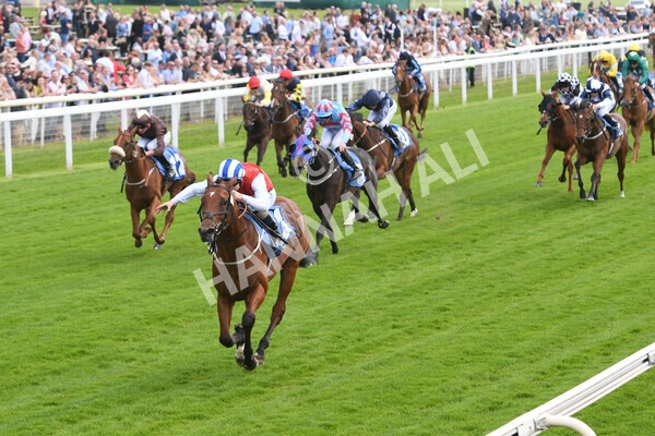 yr10062022r2-21 - Race 2 2.30pm SKF Rous Selling Stakes