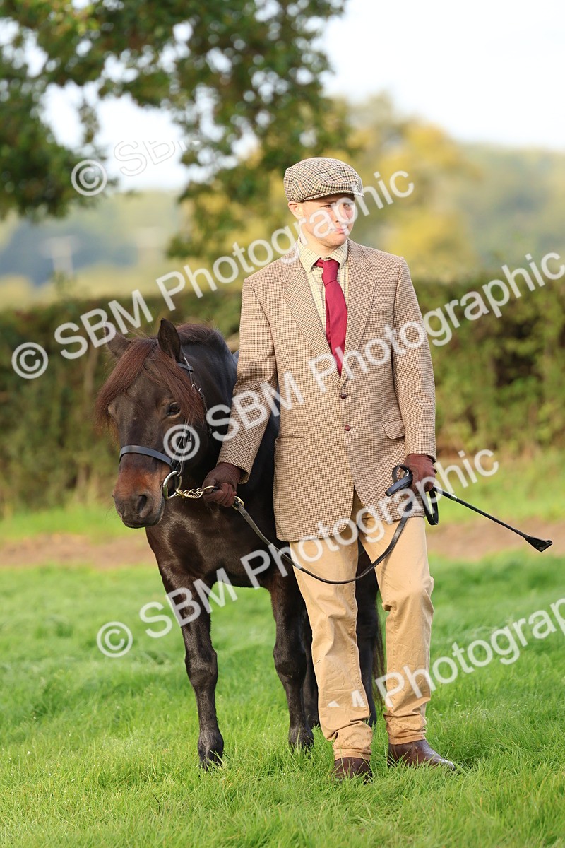 SBM_54895 - S39 - Starters In Hand Showing