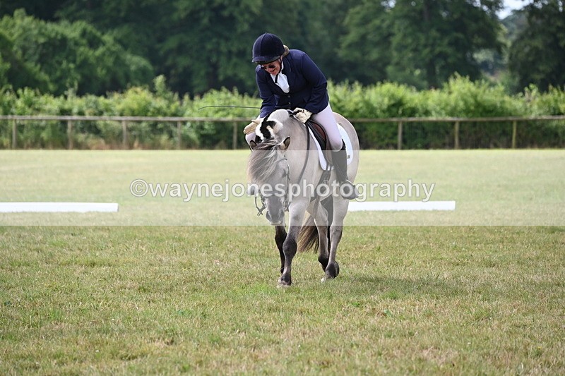 WJ6_6172 - Time 09:46 to 10:26