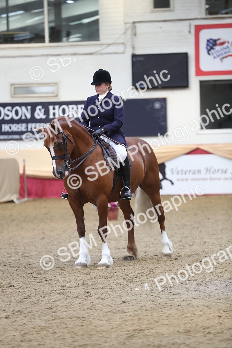 SBM_16459 - Class 502 M&M Ridden Supreme Final