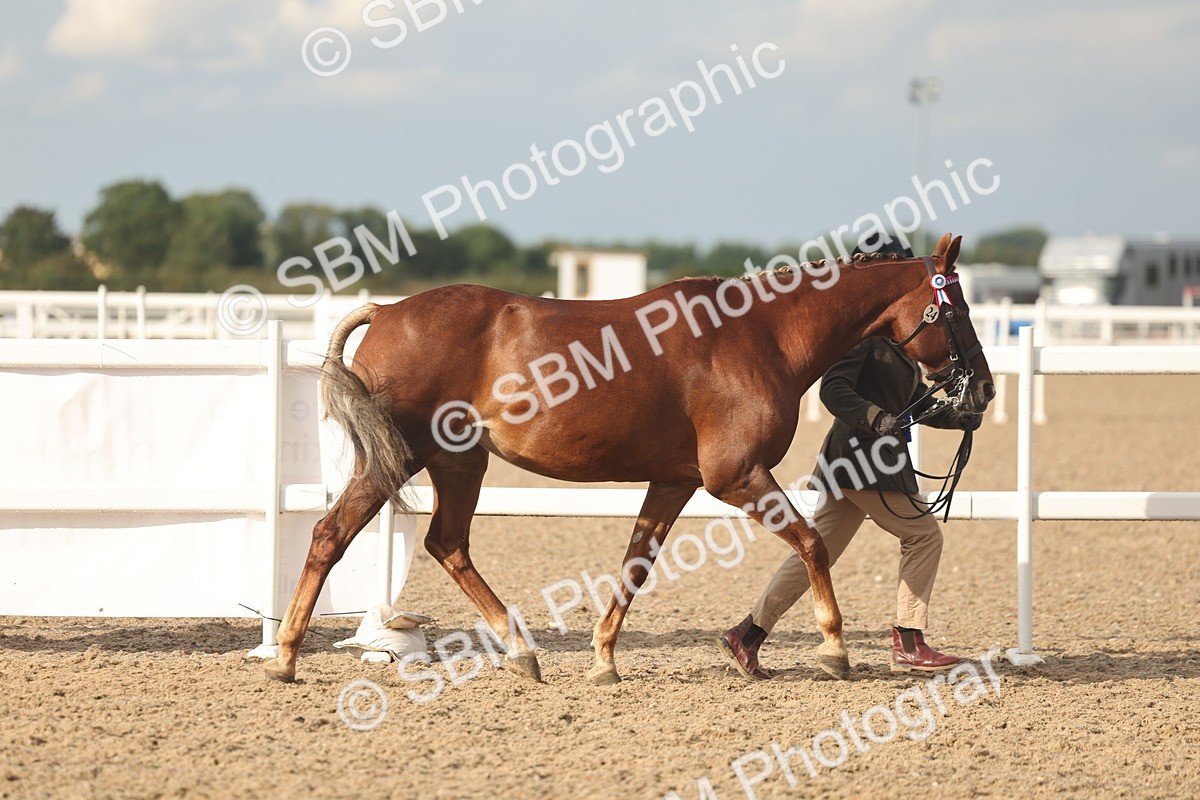 SBM_08608 - Class 29 - IH Veteran Pony