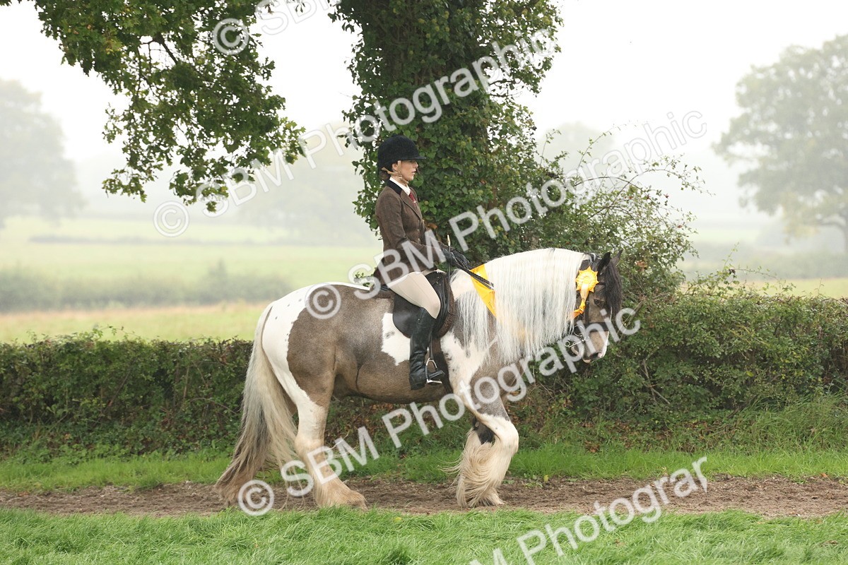 SBM_72874 - S70 - Traditional Cob Ridden