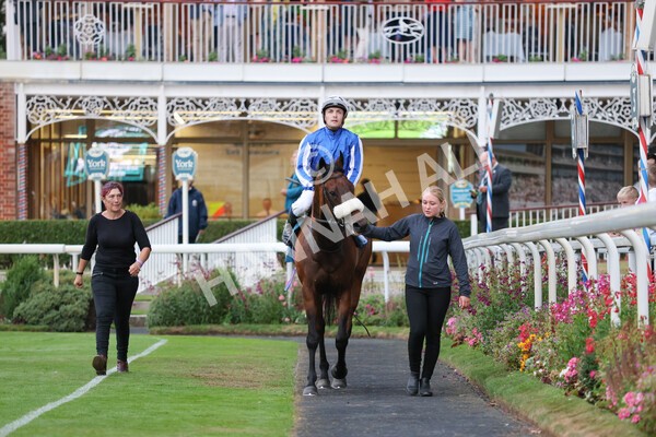 yr22072022r7-36 - Race 7 8.25pm The Sky Bet Go-Racing-In-Yorkshire Summer Festival Stakes