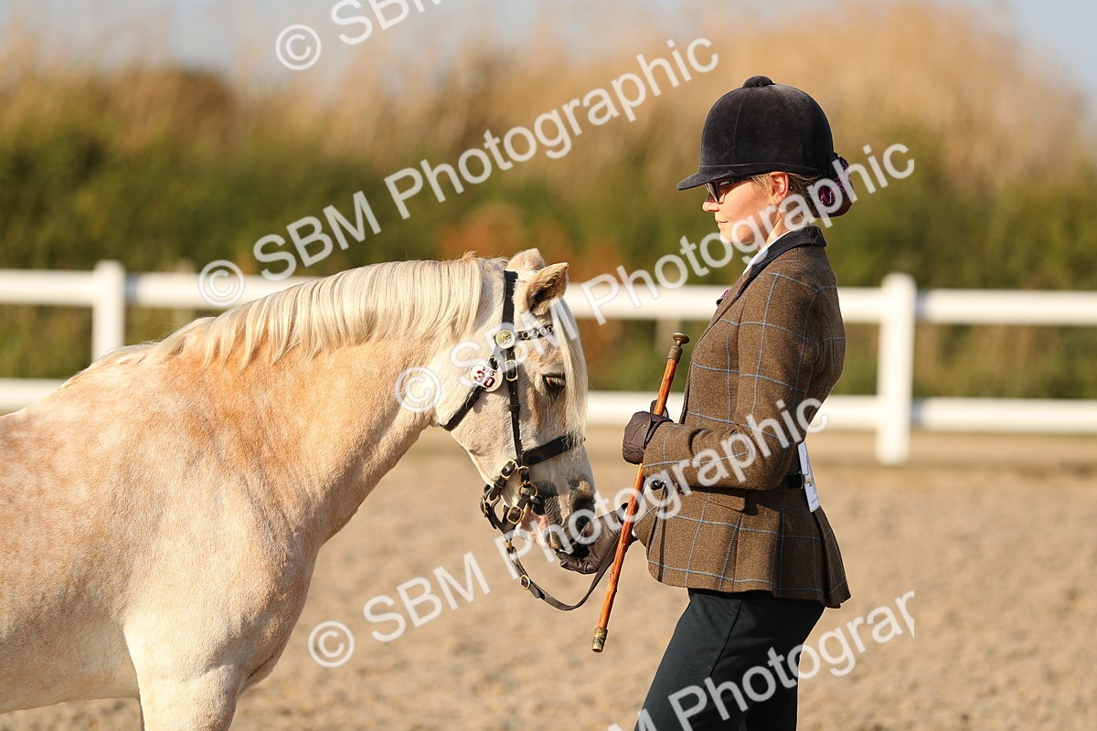 SBM_09063 - Class 29 IH Veteran Pony