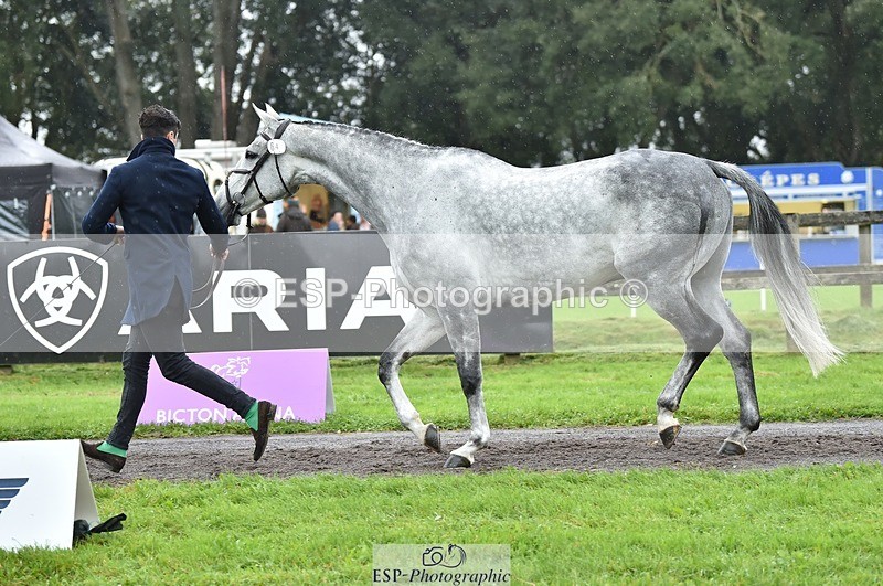 231018-124720-00522 - 064-AIR.MAIL-Daisy.Amin-TrotUp