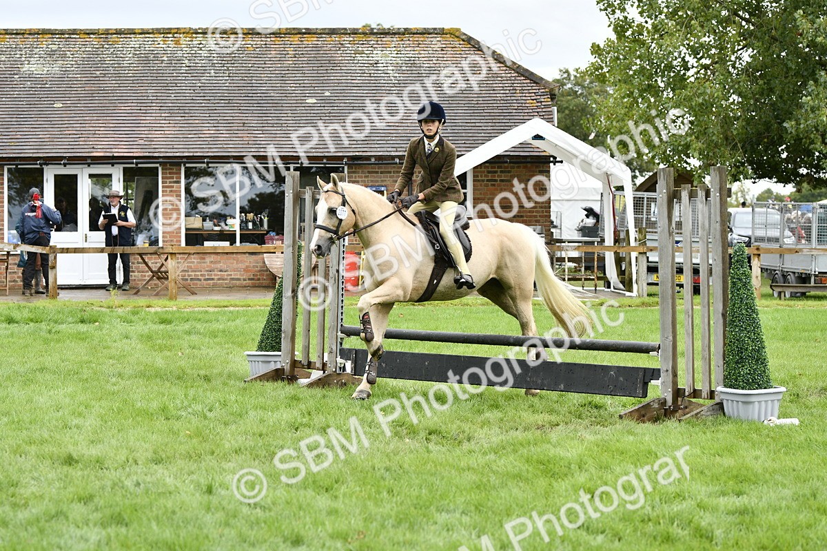 SBM_45591 - S33 - Working Hunter Pony