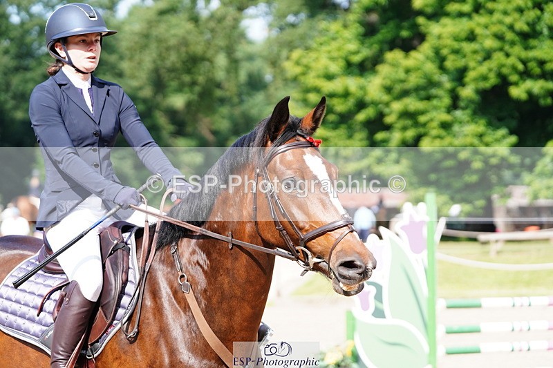 250615A-091316-09784 - Class 43 British Novice 90cm Open