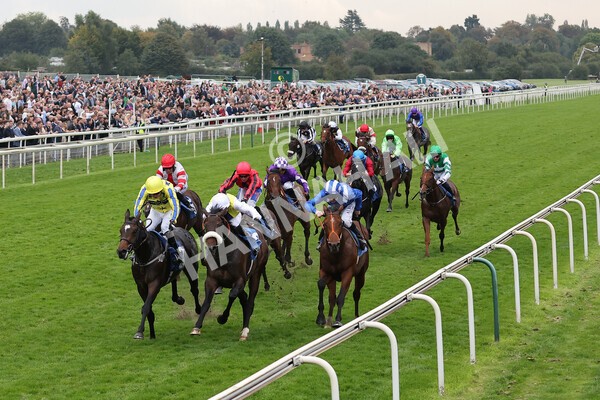 yr09102021r5-17 - Race 5 3.50pm Coral ebfstallions.com Novice Stakes