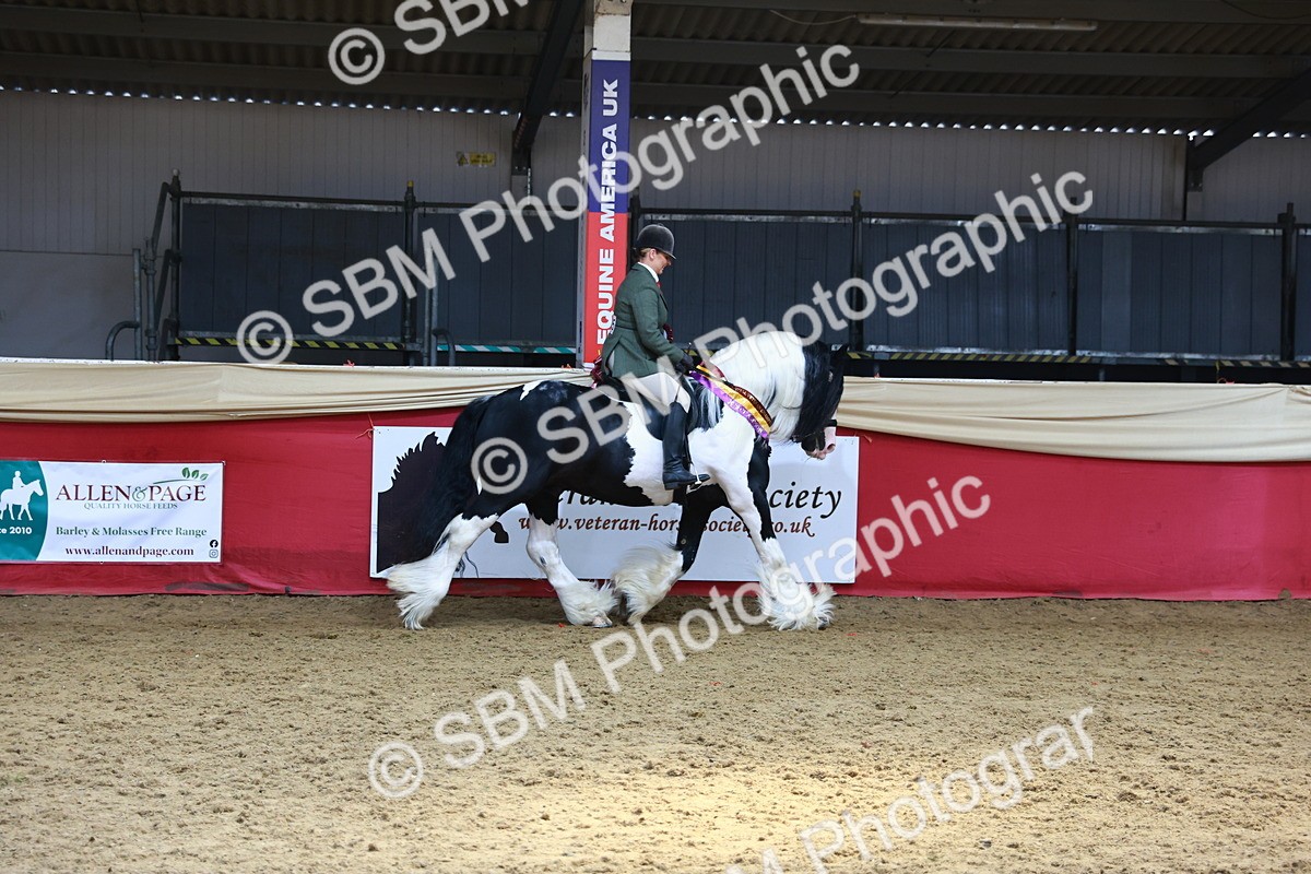SBM_12814 - HOYS Veteran Qualifier - Ridden Champ