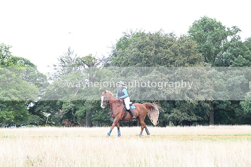 DSC_7586 - Time at Statue 13:16 to 13:52