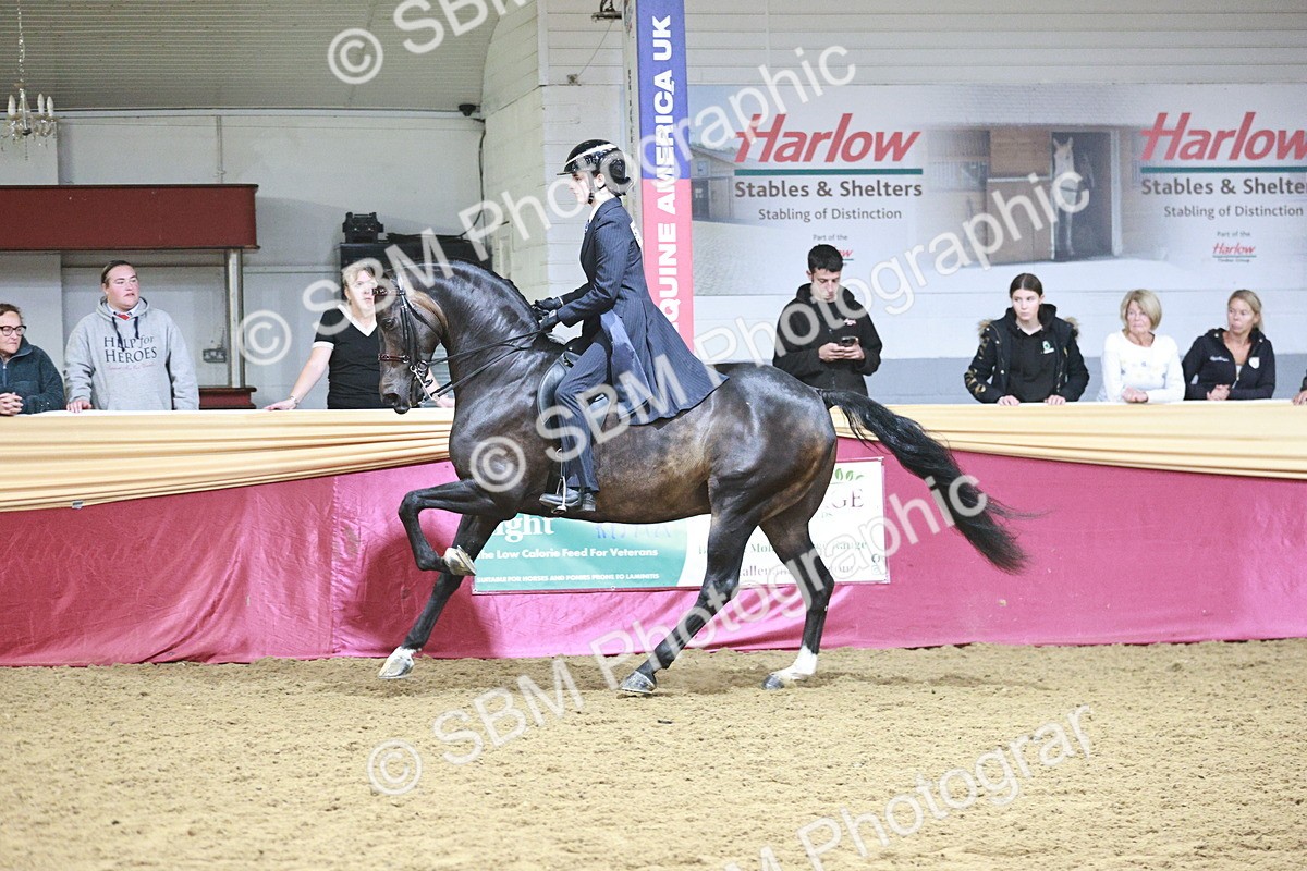 SBM_03365 - Class 6A Area Ridden Pre-Vet