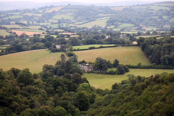 Dartmoor _ DR 20 - Dartmoor, Devon