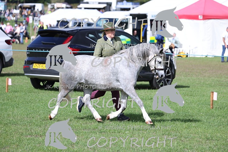 APP_3013 - Class 10a/b M&M in hand