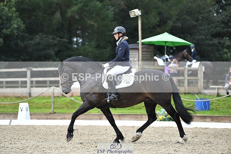 230812-105218-03485 - Cls 6 Novice Silver 10.30 to 11.55 break