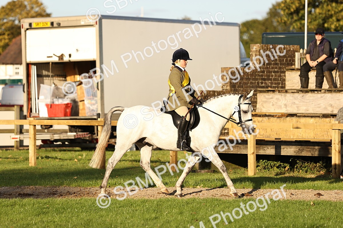 SBM_30103 - Novice & Newcomers Supreme Championship