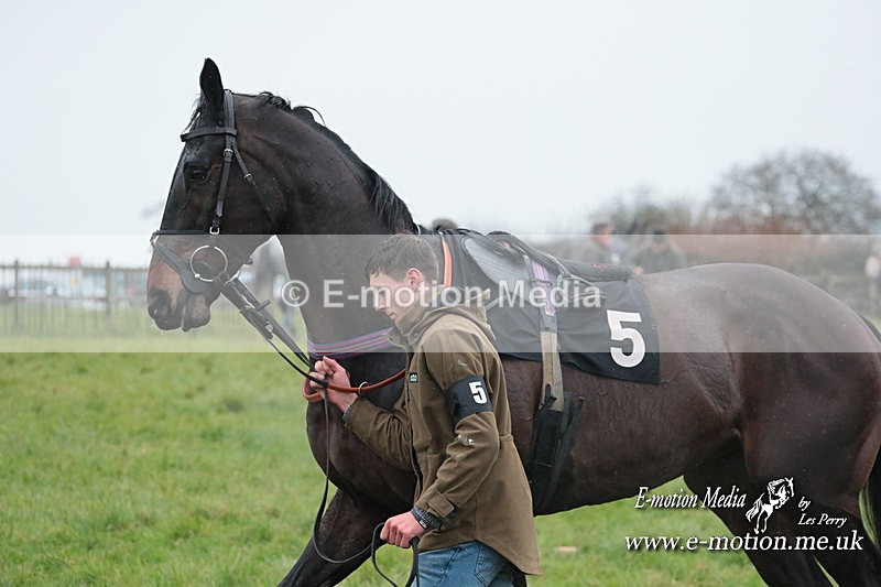 PtP 031223 310 - Wheatland Hunt PtP Chaddesley Races 03/12/23