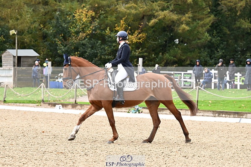 251023A-124317-02313 - B-154-Holly.Law