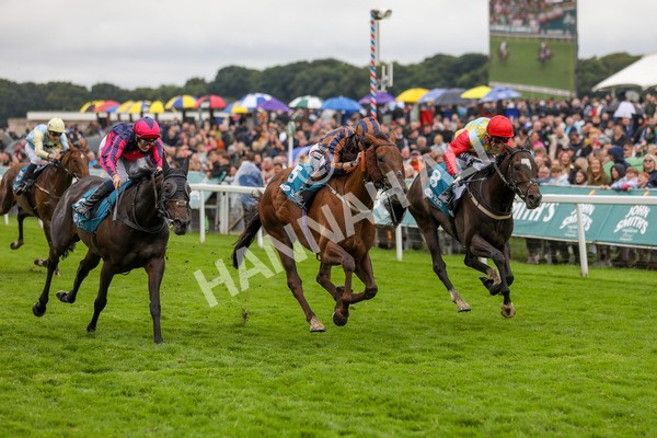 130724-Race 6-Zimmerman-2210 - Race 6 4.50pm John Smith's Stayers' Handicap