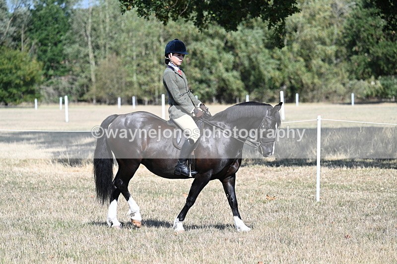 WJ7_3449 - Class 9 Mountain & Moorland Ridden