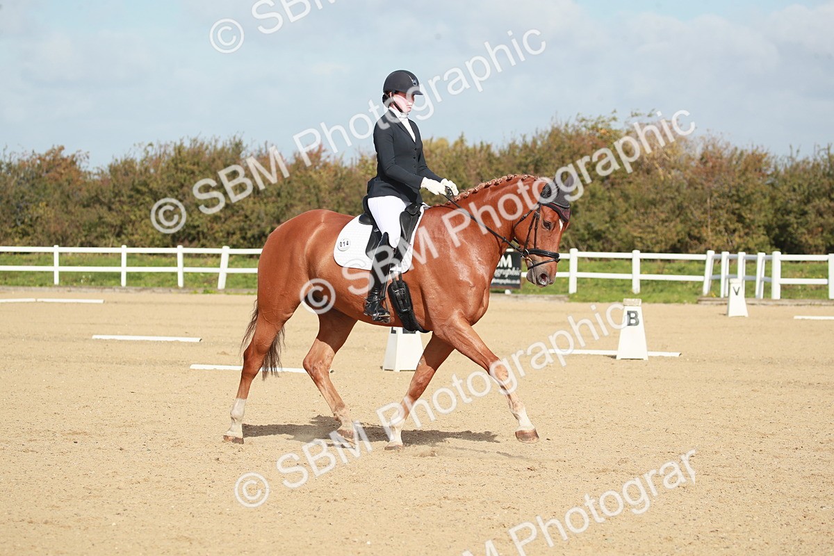 SBM_001716 - Class 4 - Novice 5