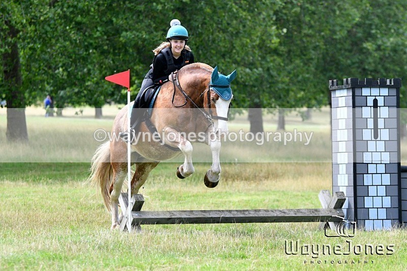 WJ5_9965 - edited examples