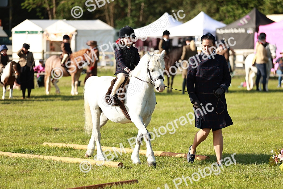 SBM_11092 - Class 106-107 - BSPS LIHS Working Sports Pony