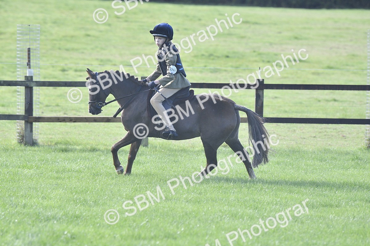 SBM_37220 - S31 - Novice & Newcomer Working Hunter Pony