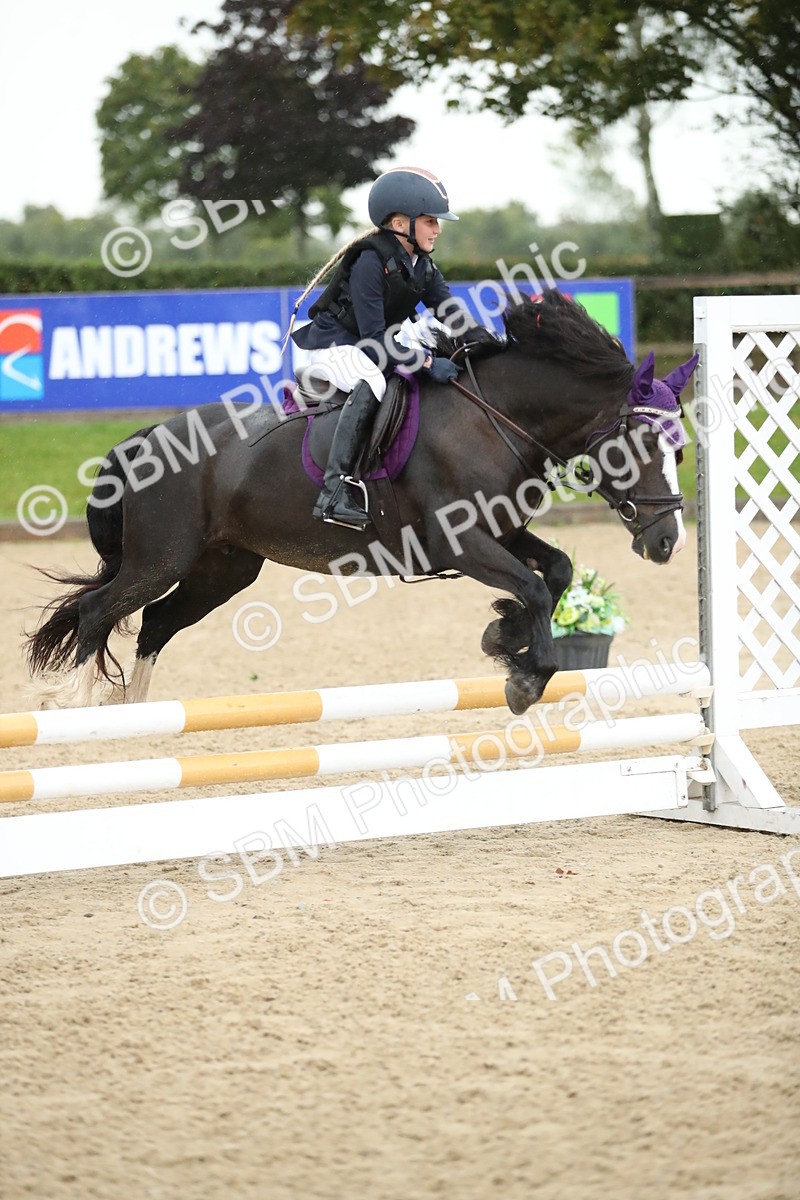 SBM_34349 - J60 Clear Round 50cm