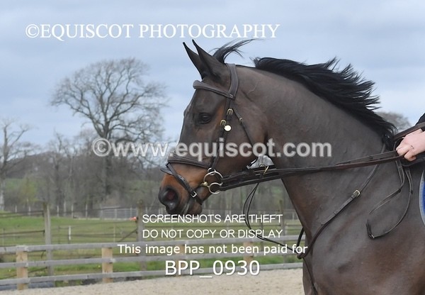 BPP_0930 - CLASS 6 Senior Newcomers/ 1.10m Open