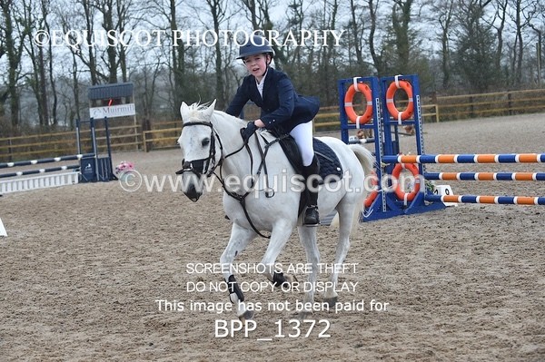 BPP_1372 - CLASS 5 Pony BritiNovice / 0.80m Open