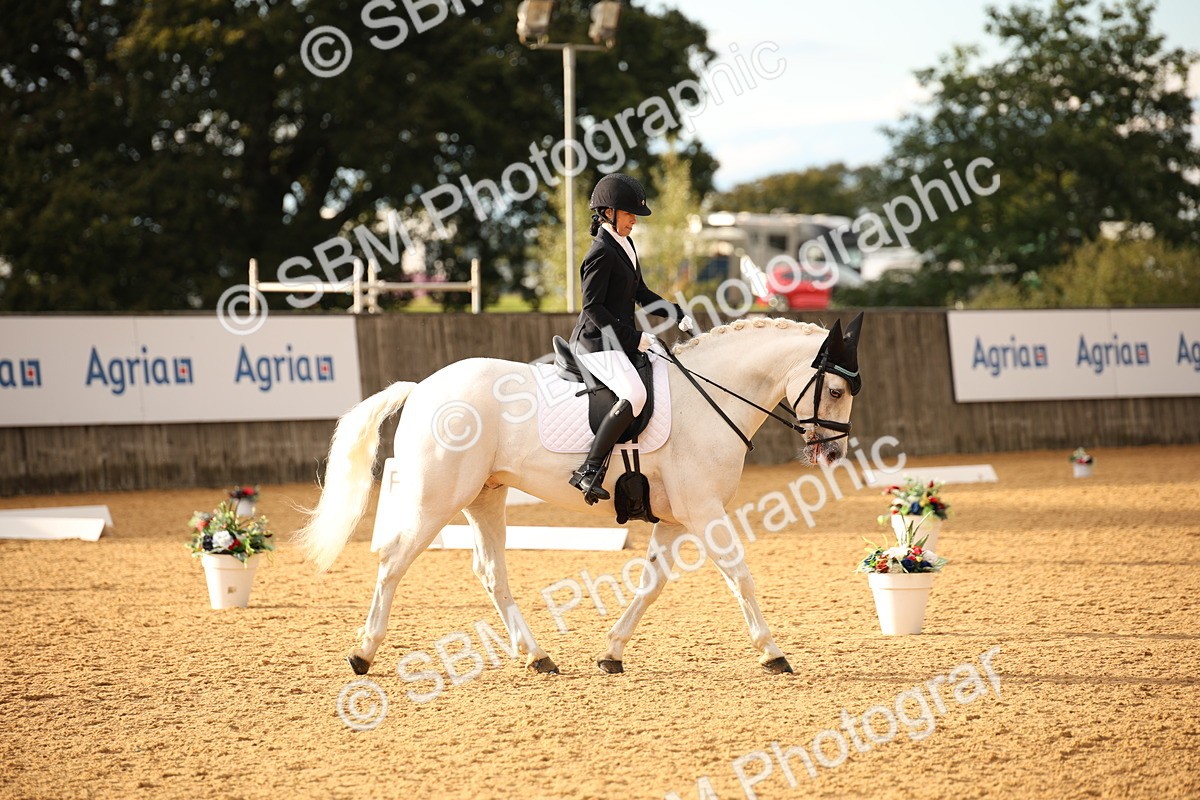 SBM_12425 - D3 Small  Tour Championship Intro A