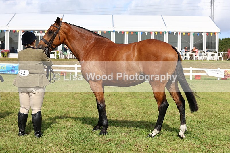 3E7A9515 - Class 4: Rising Star M/H Hunter