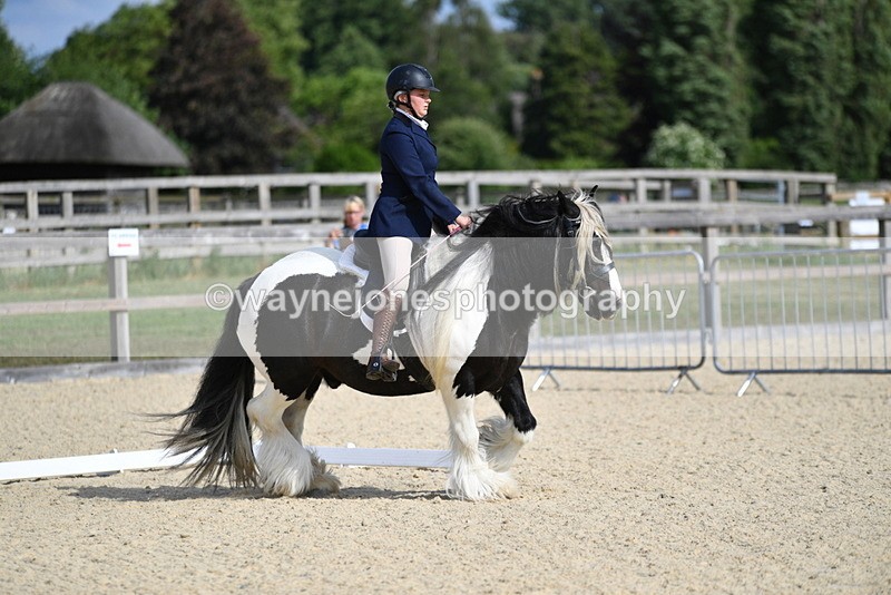 WJ5_7721 - Time 16:40 to 16:55