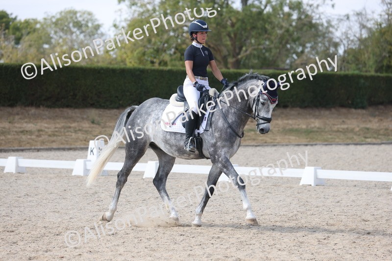 20260815-1003 - Class 5 - Novice 1