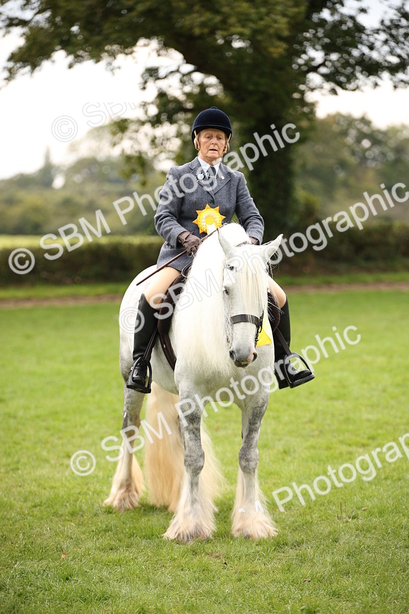 SBM_73645 - Ridden Horse Supreme Championship
