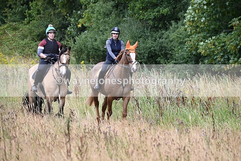 WJ6_2473 - Group 7