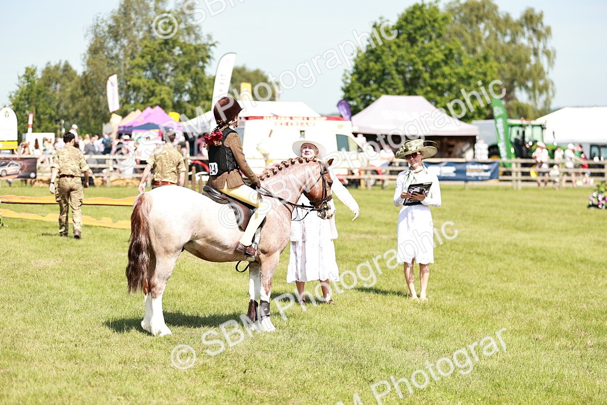 SBM_13509 - Class 108-109 - BSPS LIHS Open Gradle & Nursery Stakes