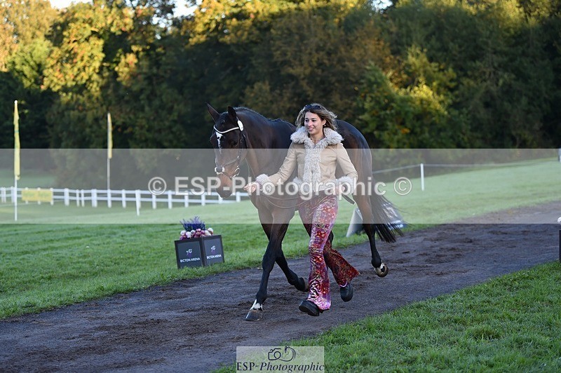 231022-084506-21332 - 670-SEEK.INDI-Maia.Ramasamy-TrotUp+SJ