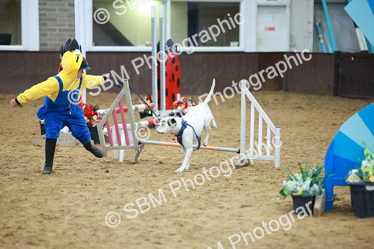 SBM_002274 - Class 3 - Horse & Hound (60cm)