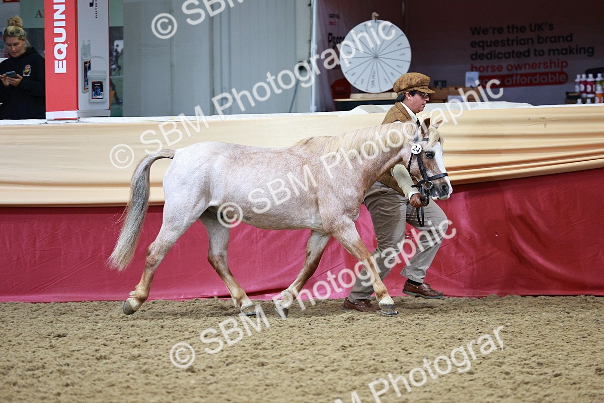 SBM_00887 - Class 2A - Area IH Veteran