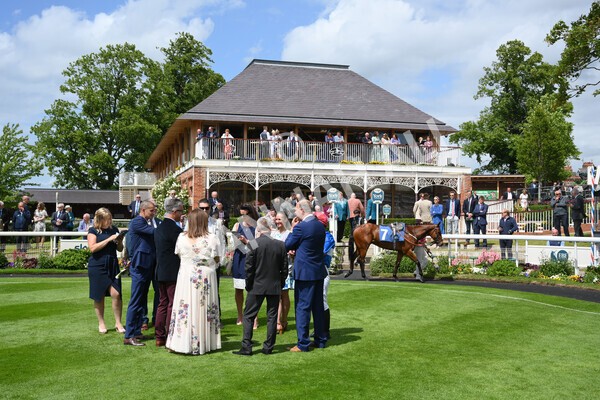 yr11062022r2-38 - Race 2 2.00pm Queen Mother's Cup