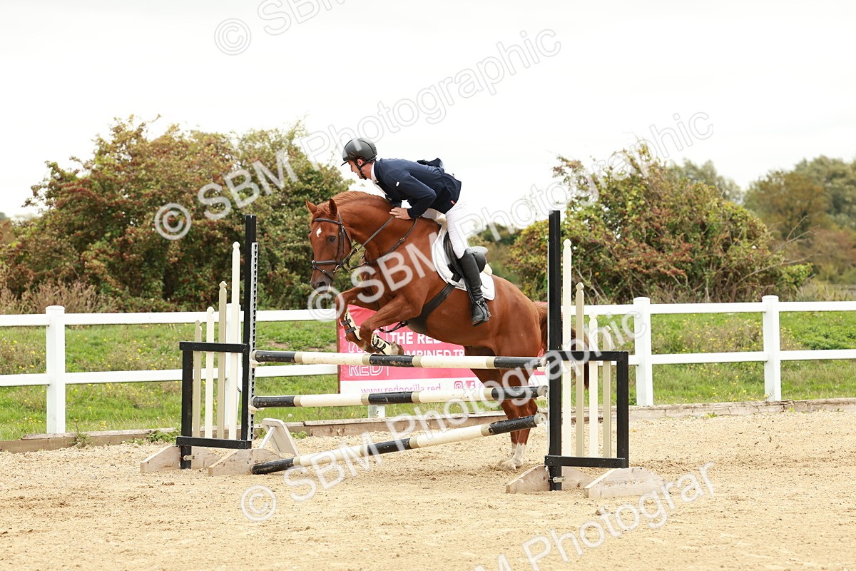 1I0A7064 - Class 2 - Senior British Novice